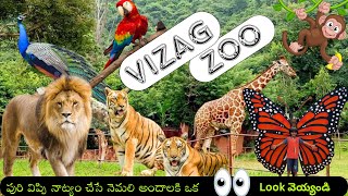 Indira Gandhi Zoological park || #vizagzoo #explorezoo #zoo#summerholidaytour