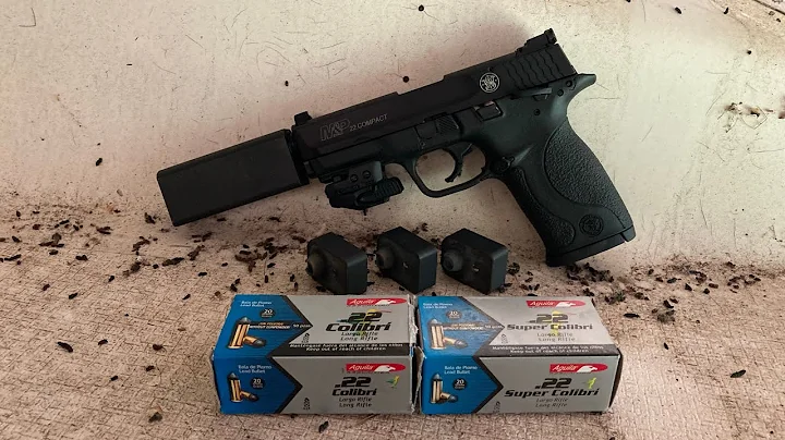 Mouse Farts? The Quietest 22 LR Rounds: Aguila Colibri 20 grain primer fired!