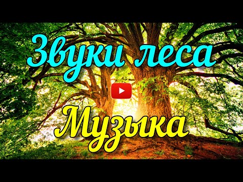 Звуки природы и музыка без слов для работы и отдыха. 1 час расслабляющей музыки