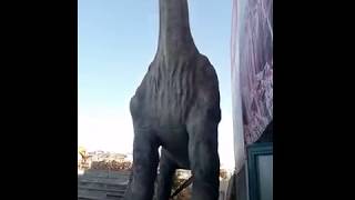 Big dinosaurs in Natural museum, Heraklion, Crete, Greece