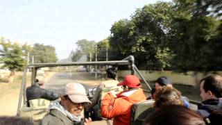 Sul camion verso il Parco nazionale di Ranthambore