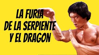 Martial Arts Stream  - La Furia De La Serpiente Y El Dragón Dragon's Snake Fist  English subtitles