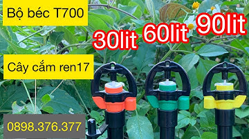 Thử béc t700 bù áp lưu lượng 30l, 60l, 90l - chuyên tưới cây sầu riêng trên đồi dốc