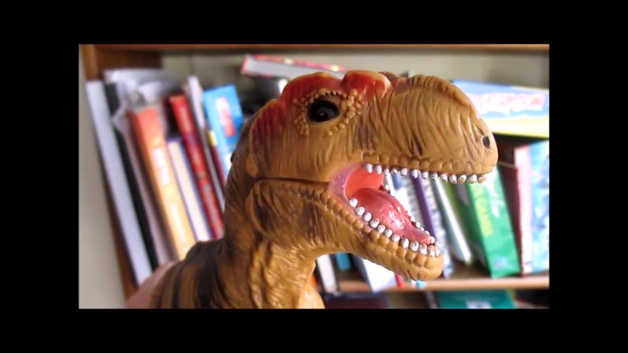 How to Survive the Irish Oral YouTube