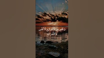 #آية #سورة_البقرة #القارئ #رعد_الكردي