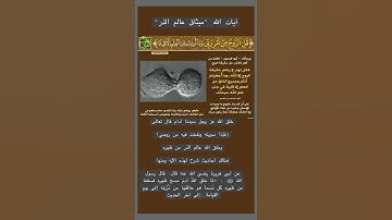 سورة الأعراف  أيه رقم 172 "وإذ أخذ ربك من بني آدم"