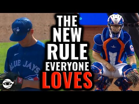 The New MLB Rule EVERYONE LOVES!! (Or should love)