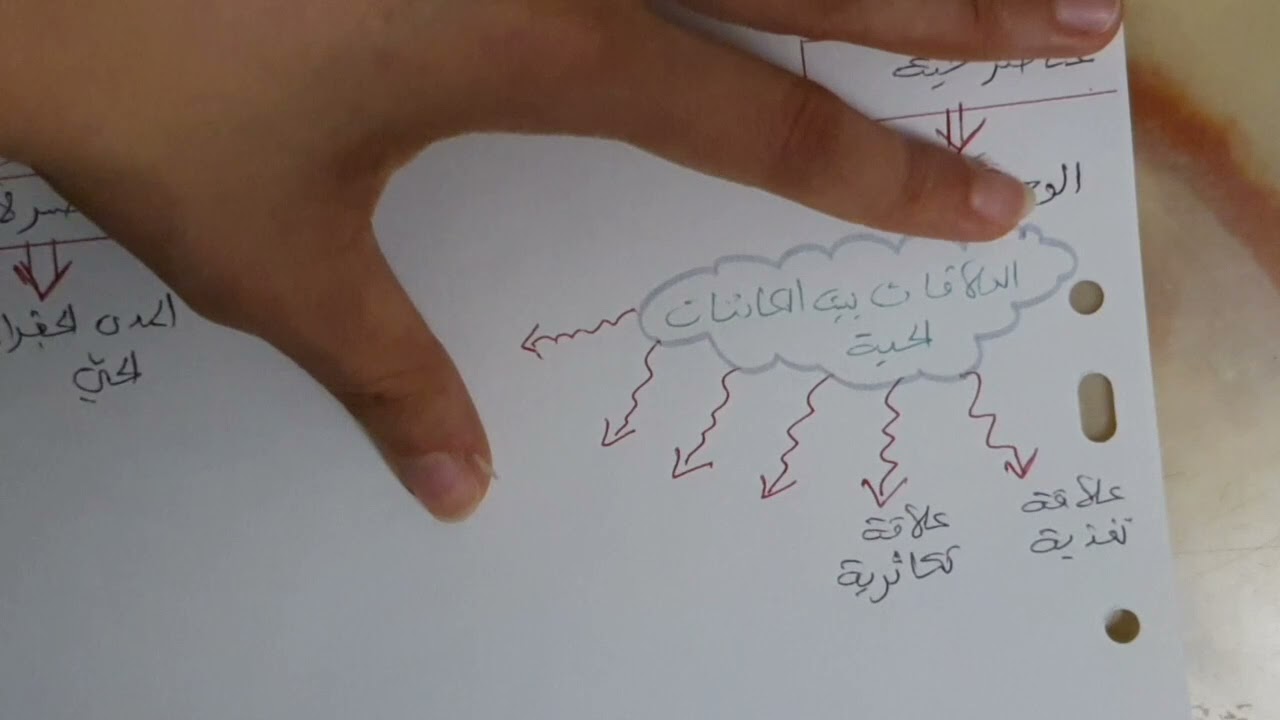 مراجعات الفصل الأول سنة ثانية متوسط