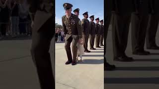 Tiny Parade Crashers Melt Soldiers Discipline