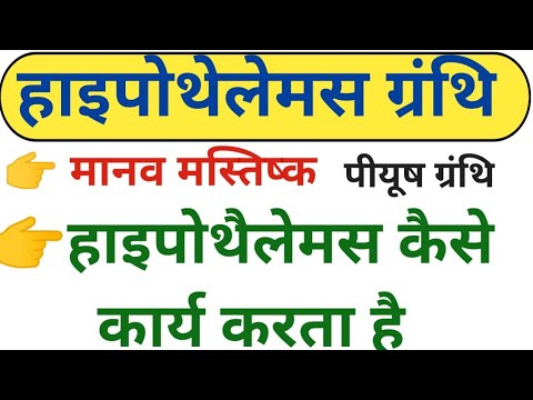 हाइपोथेलेमस ग्रंथि | Hypothalamus glands | हाइपोथैलेमस कैसे कार्य करता है | #Hypothalamus_glands