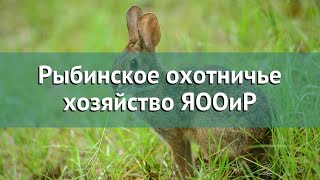 Охота в Ярославской области – Рыбинское охотничье хозяйство ЯООиР охота на лося