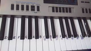 Miniatura del video "Tere Jaisa Yaar Kahan | Keyboard Tutorial| Harmonium|Slowly played in end| Beginners|piano"