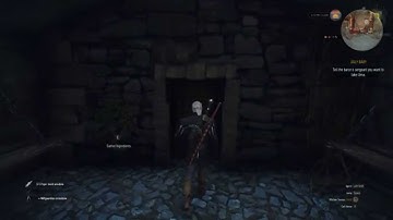 The Witcher 3 - Easter Egg - Tyrion Lannister