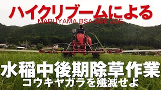 ハイクリブームによる水稲中後期除草剤散布作業！  コウキヤガラを殲滅せよ！　丸山製作所 BSA-500