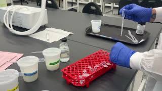 Enzyme Function Lab - Lactase
