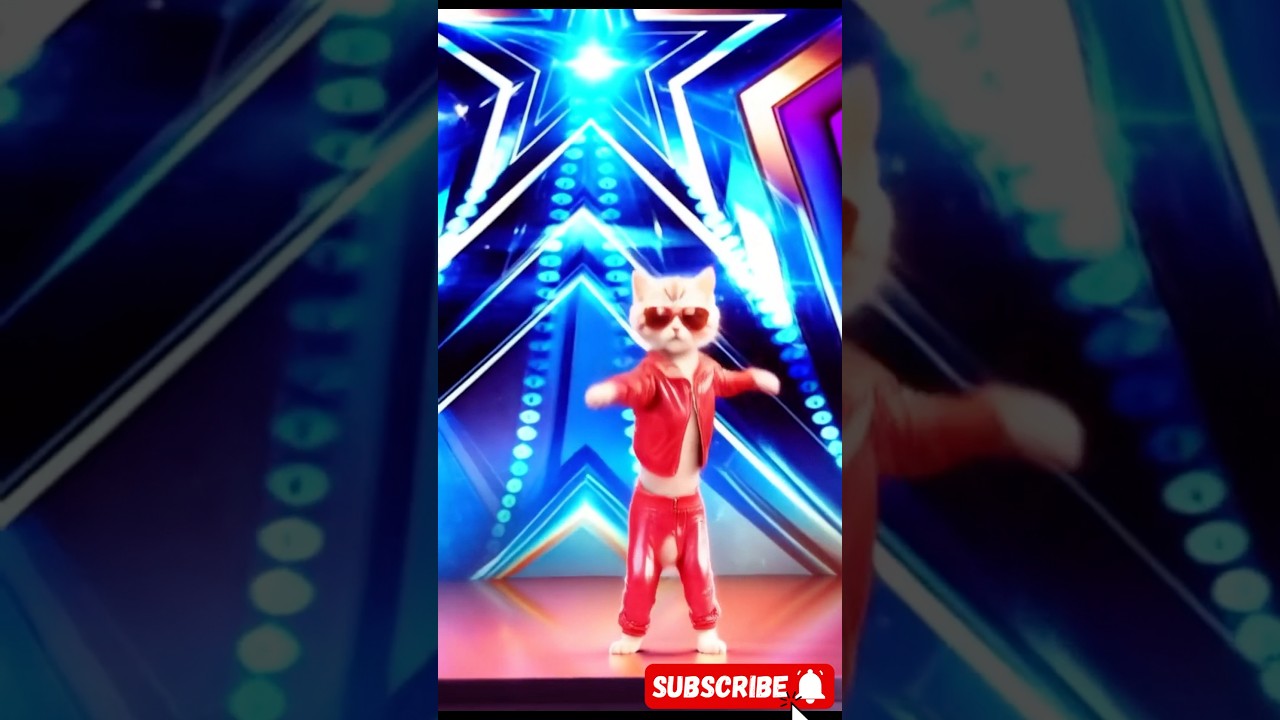 Dudi Dudi on America’s Got Talent 😹🍼!