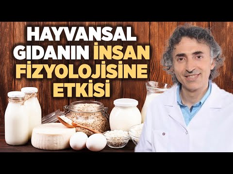 Video: Hayvansallar İçin 12 Olması Gereken Ayakkabı