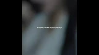 ANGIN DALU - VIVI ARTIKA (cover)