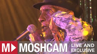 The Jolly Boys - Passenger (Iggy Pop) (Live at Sydney Festival) | Moshcam chords