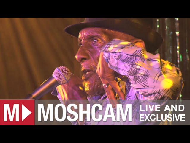 Watch The Jolly Boys - Passenger (Iggy Pop) (Live at Sydney Festival) | Moshcam on YouTube Watch The Jolly Boys - Passenger (Iggy Pop) (Live at Sydney Festival) | Moshcam on YouTube