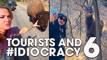 Tourists and #IDIOCRACY 6