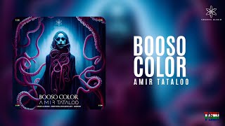 (آهنگ بوس و کُلُر _ امیر تتلو)(Booso Color_Amir Tataloo