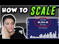 FASTEST WAY to Scale to $5000 a Day | Shopify Dropshipping