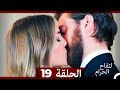 التفاح الحرام الحلقة ال 19 Arabic Dubbed HD