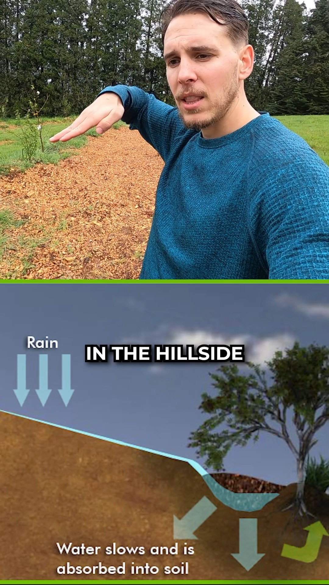 Permaculture Swales Are Nutrient Speed Bumps For The Hillside