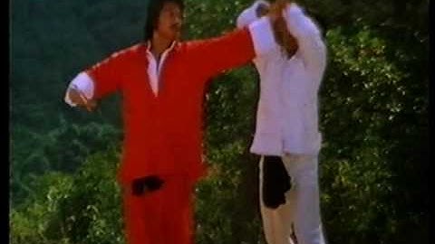 10 MAGNIFICENT KILLERS  - WIDESCREEN - ENGLISH DUBBED