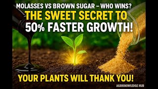 🌱 Molasses vs Brown Sugar: The Sweet Fertilizer Secret Gardeners Swear By!