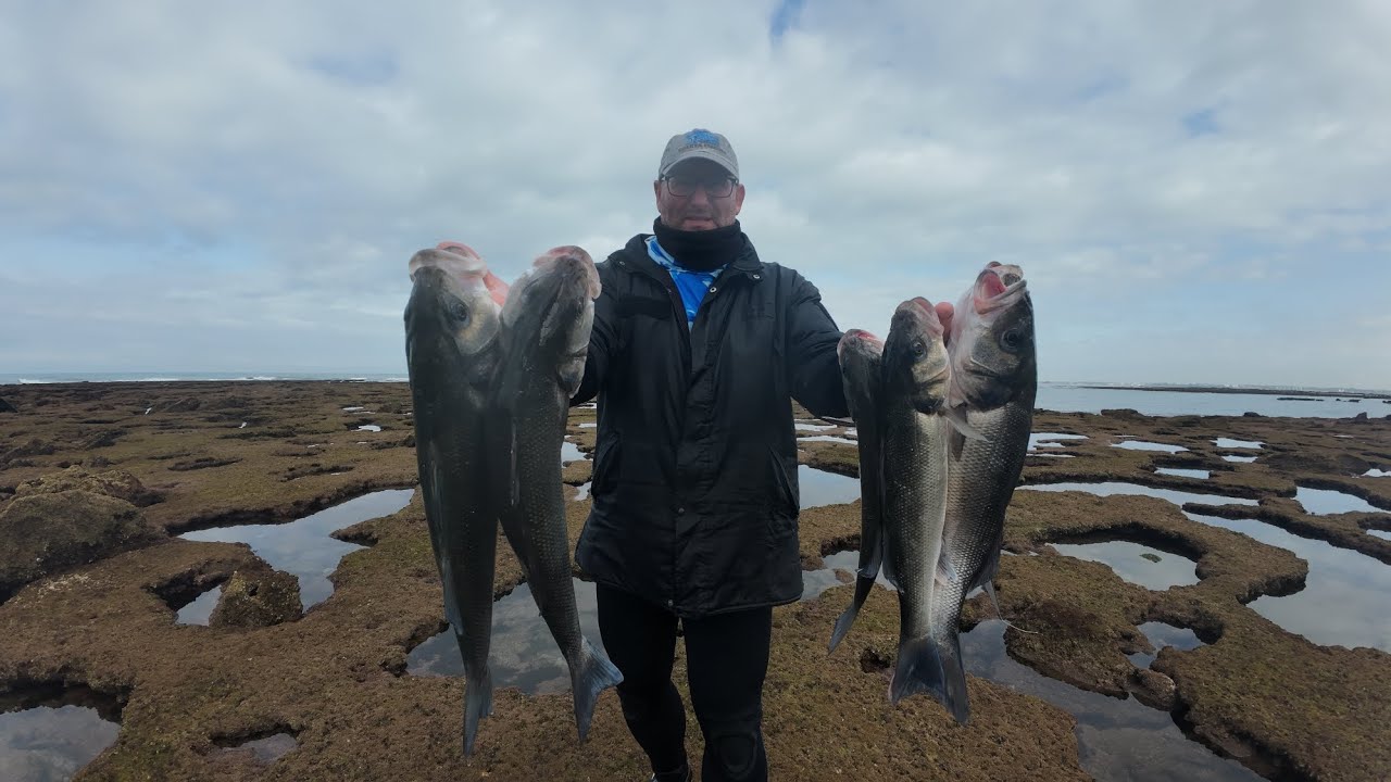 LA HISTÓRICA PESCA A SPINNING, UNA AUTÉNTICA LOCURA DE CAPTURAS NO LO OLVIDARÉ JAMÁS.