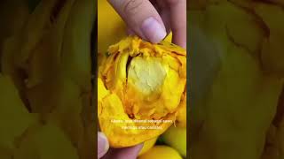 Download Lagu bua alkesa #viralvideo MP3