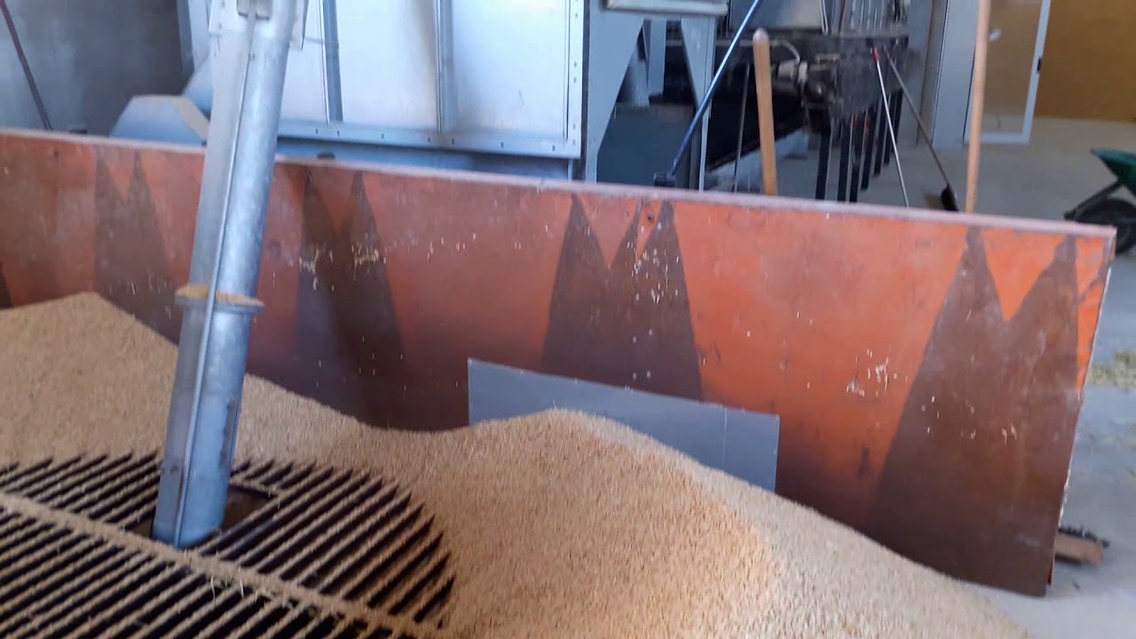 760-(HD)-Barate di Gaggiano MI-Essicatoio del riso 28-09-2017 (Cellulare)