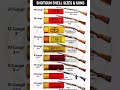 Most Powerful Shotgun Shells &amp; Their Guns 💥 #shorts  #geopolitics