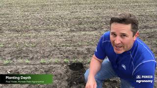 Corn Planting Depth: 5 Reasons Why it’s Important