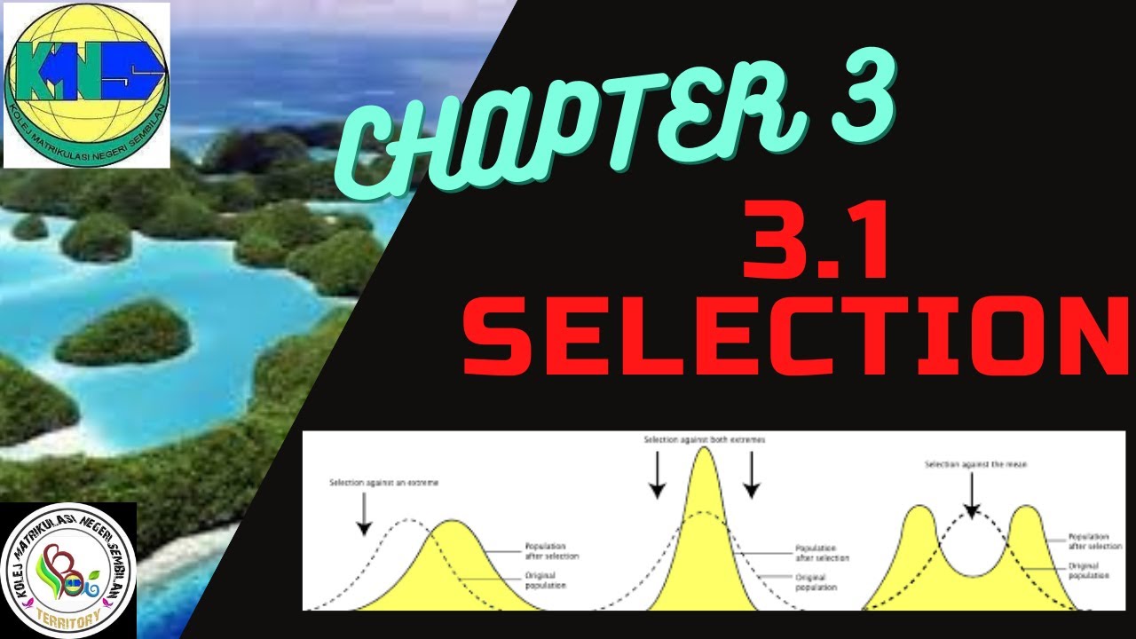 CHAPTER 3 PART 1 : 3.1 SELECTION - YouTube