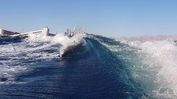 Dolphins passive propulsion in vortex wakes