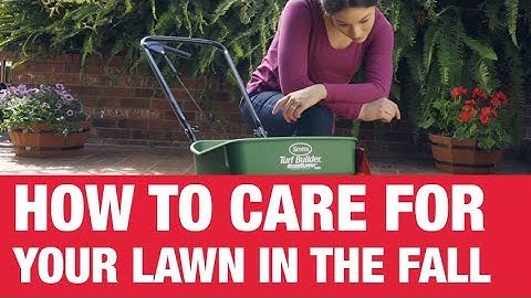 How To Care For Your Lawn in Fall - Ace Hardware