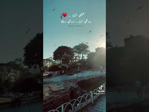 عيني انت و روحي انت و دمي دمك