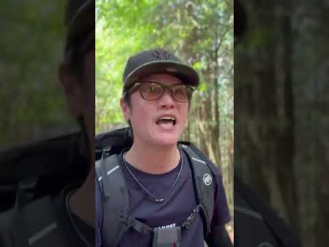 奈良/三重【曽爾高原】 #倶留尊山 #関西登山#夏の絶景  #観光名所