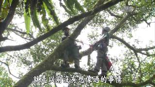 【發現】20140816 - 攀上森林的頂端- 看見樹冠層 