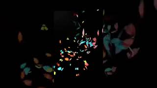 #capcut #butterflyeffect#viral #subscribe #viralvideo #like 🥰