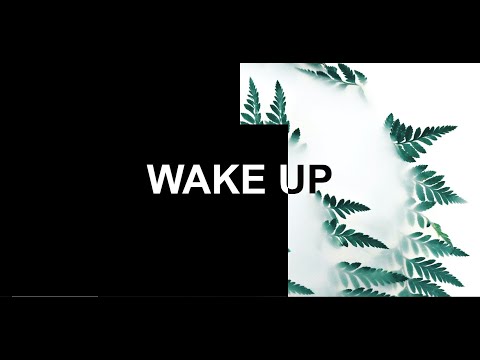 Pure CSS Text Reveal Animation | CSS Animation Tutorial