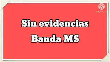 Sin evidencias | Banda MS