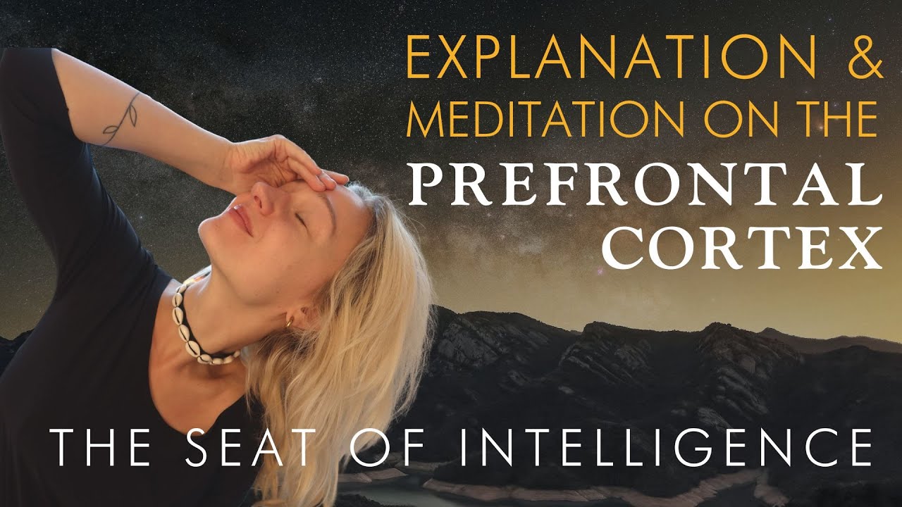 Brain Meditation | Prefrontal Cortex (Explanation + Guided Meditation ...