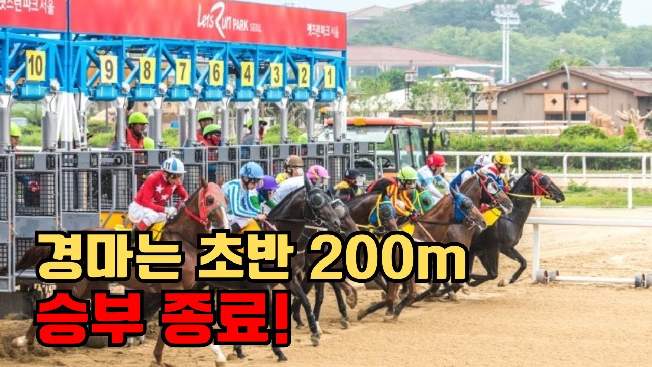 🧠경마 시즌2 제1강! "초반 200m에서 이미 끝난다!"