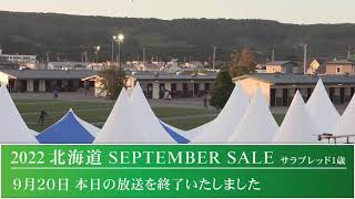 2022 北海道セプテンバーセール1日目生中継