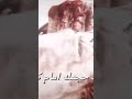 وارث المعروف عند الزنجرا وارث المعروف عند الزنجرا