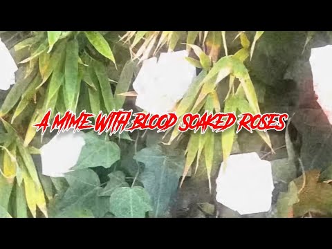 A Mime with Blood Soaked Roses (OFFICIAL MUSIC VIDEO) by KickAssQuinn | Tales of Sweet Betrayals